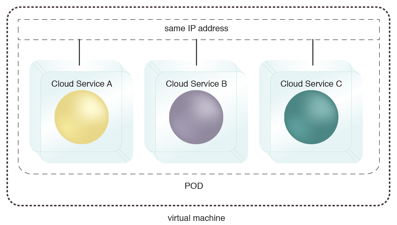 Logical Pod Container: A single pod deployed on a virtual server allows the hosted services to share the same IP address. The pod can also be deployed directly on a physical server.