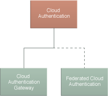Cloud Authentication
