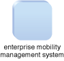 Enterprise Mobility Management System