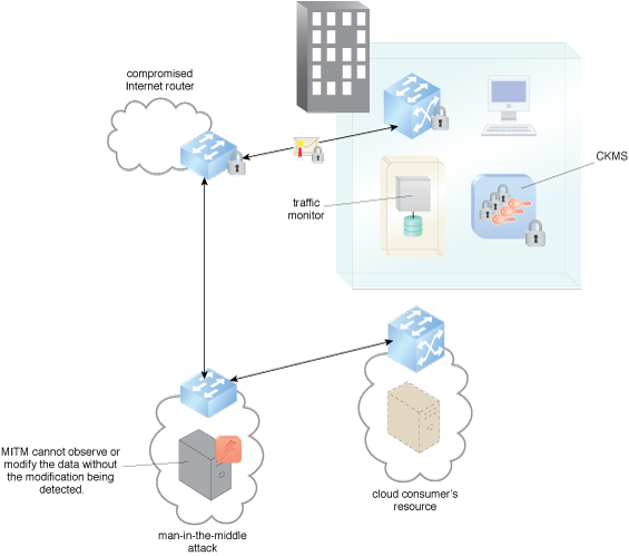 Cloud Traffic Hijacking Protection: Various traffic hijacking mitigations are executed.