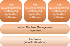 Hardware-based and Operating System-based Virtualization : The different logical layers of hardwarebased virtualization, which does not require another host operating system.