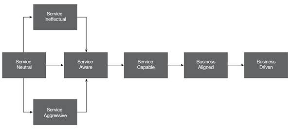 Overview: Common evolutionary levels of organizational maturity.