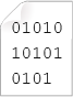 data binary format